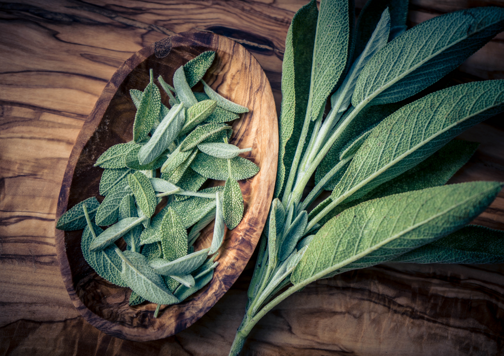 Sage- The Ancient Greek Flower of the Body
